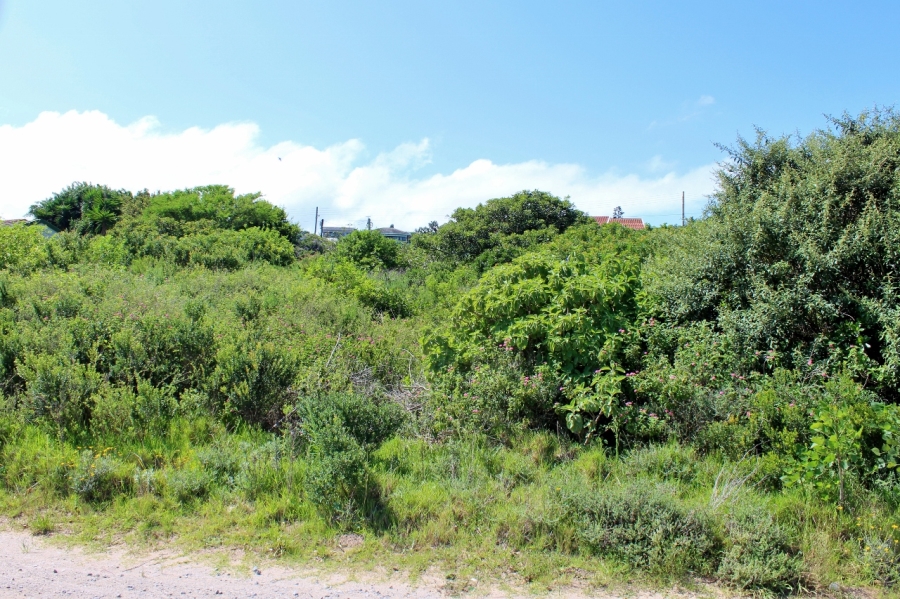 0 Bedroom Property for Sale in Forest Downs Eastern Cape